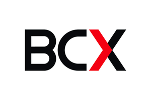 Business Connexion (BCX)