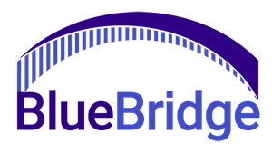 BlueBridge Networks, LLC Logo