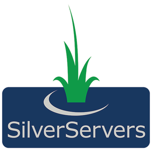 SilverServers Inc. Logo