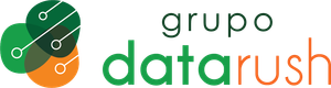 DataRush IT Services Logo