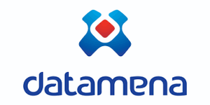 Datamena Logo
