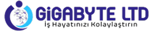 Gigabyte Ltd. Logo