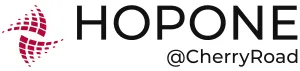 HopOne Internet Logo