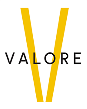 Valore Group Logo