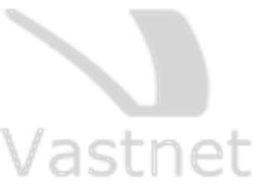 Vastnet Logo
